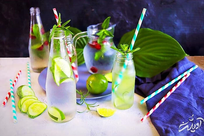 طرز تهیه شربت سکنجبین شربت سکنجبین